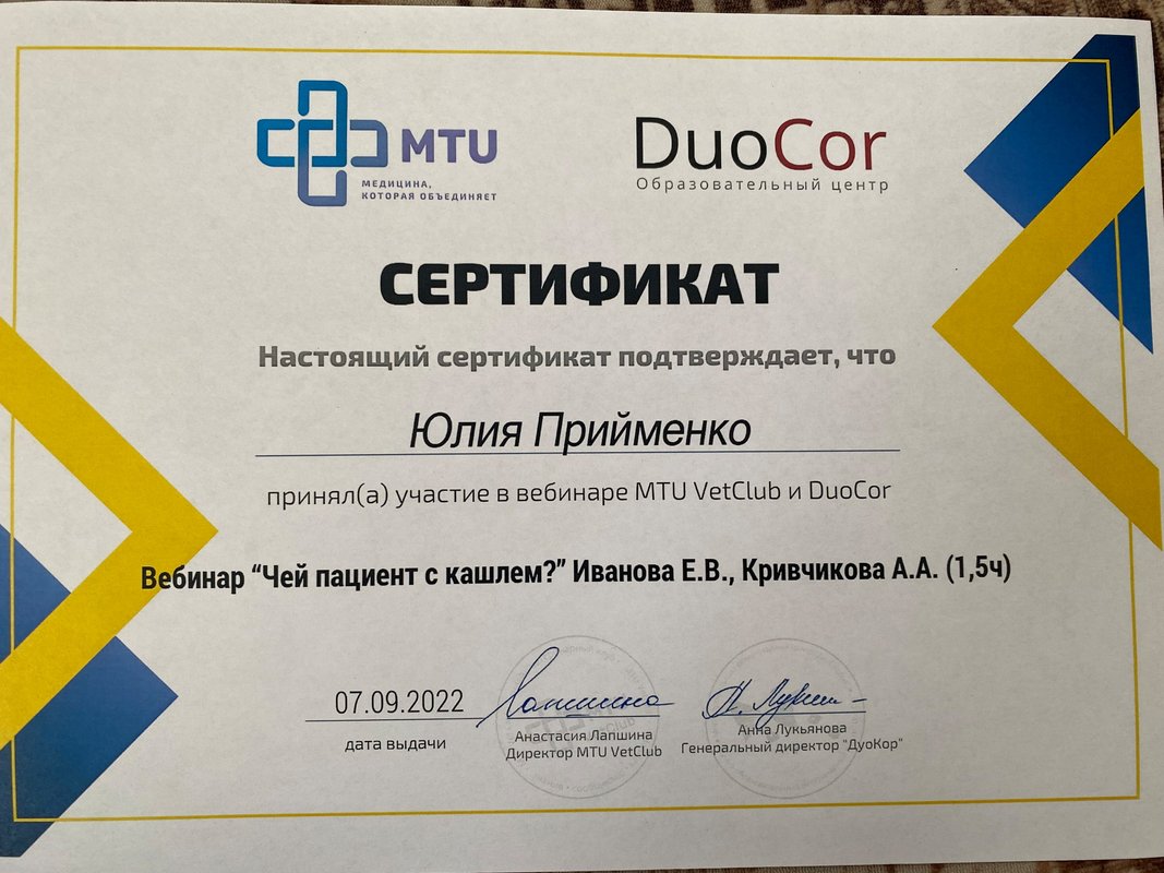 Документ или сертификат