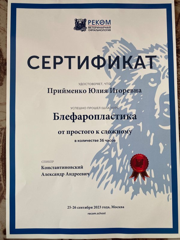 Документ или сертификат