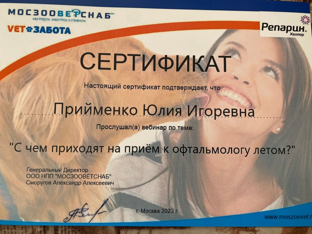 Документ или сертификат