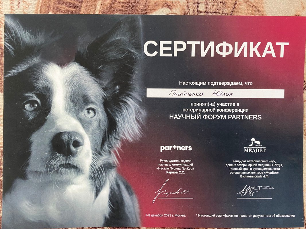 Документ или сертификат