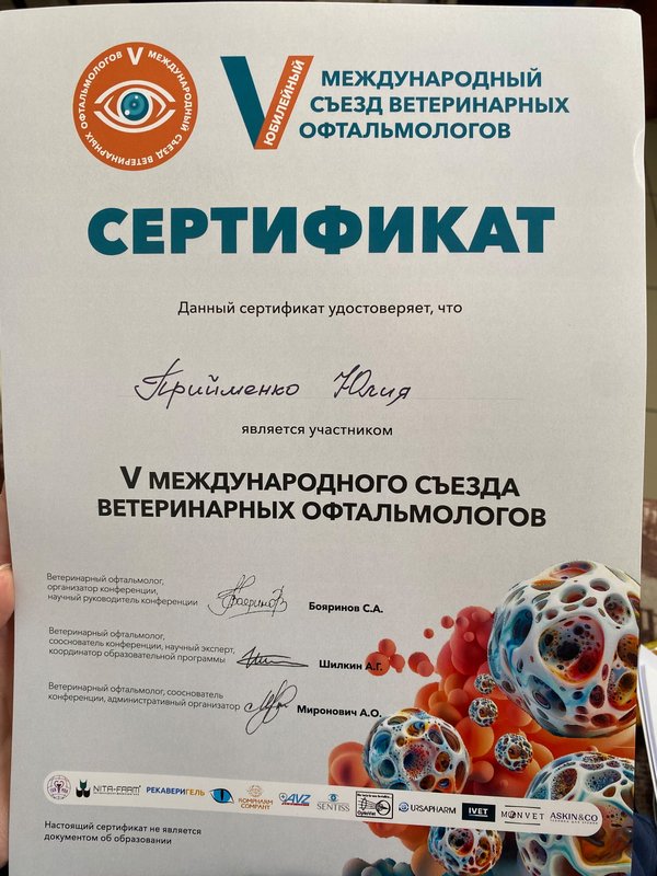 Документ или сертификат