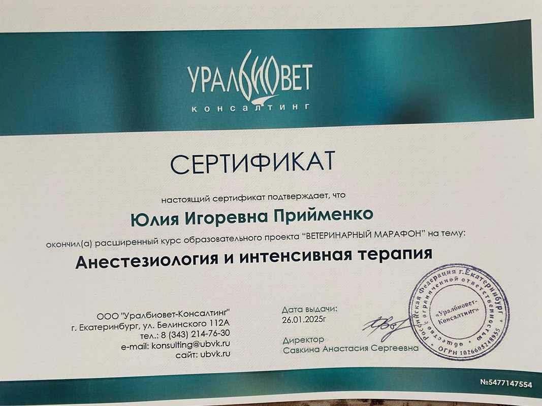 Документ или сертификат