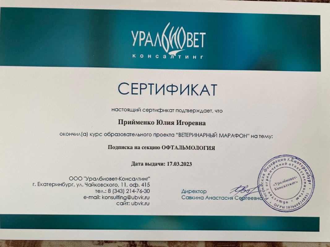 Документ или сертификат