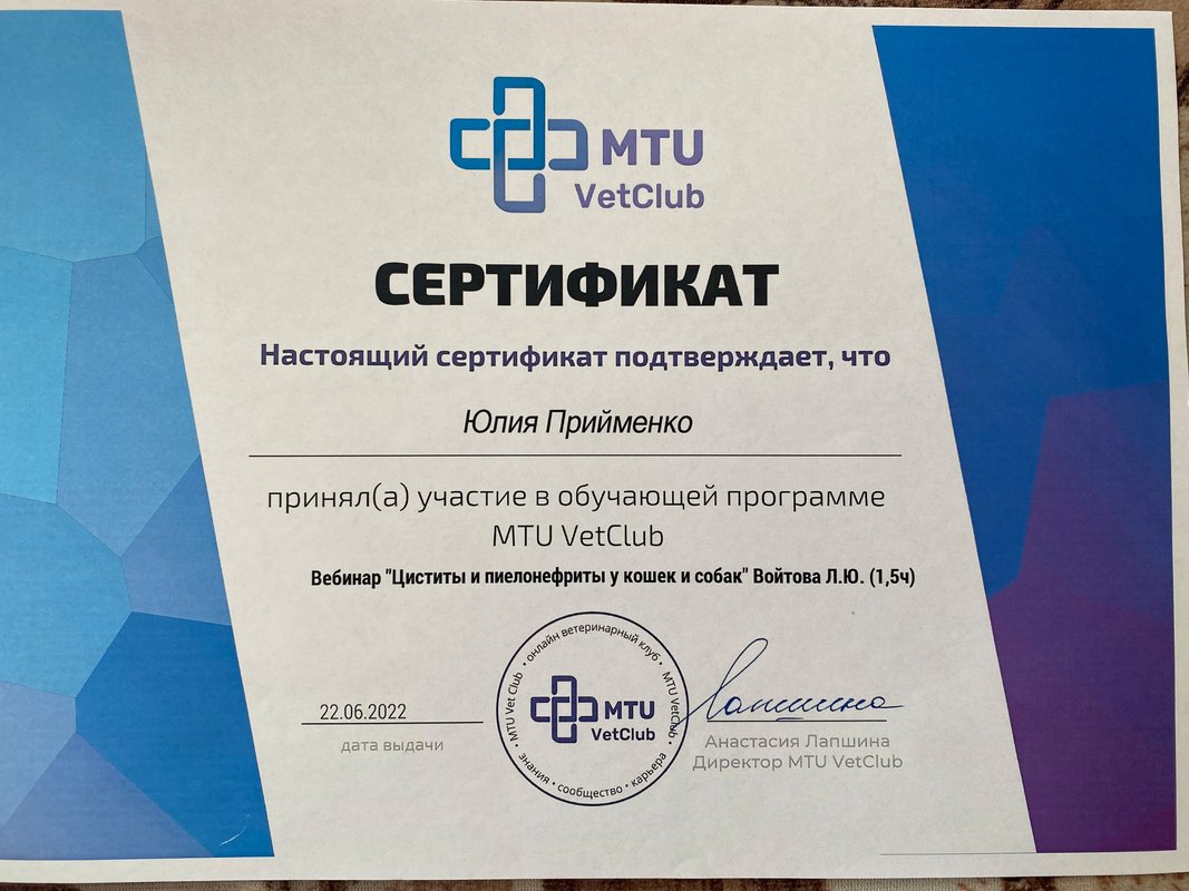 Документ или сертификат