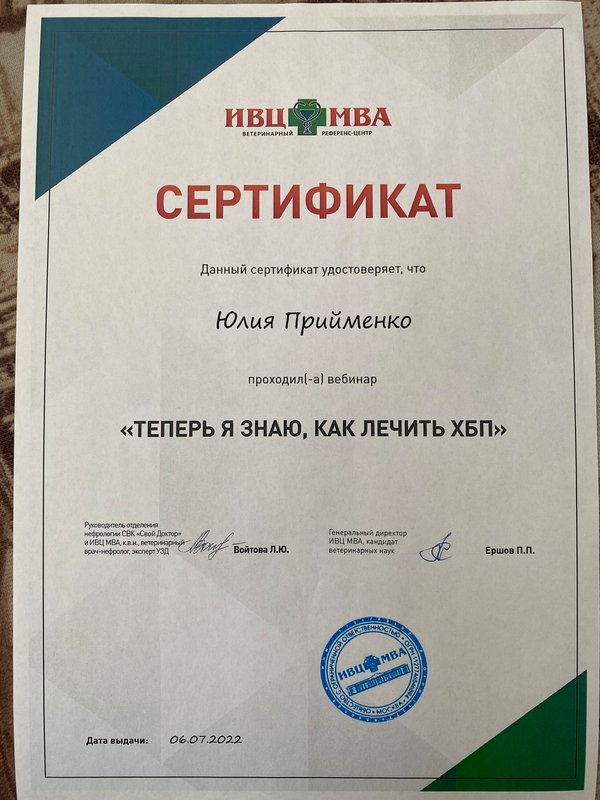 Документ или сертификат