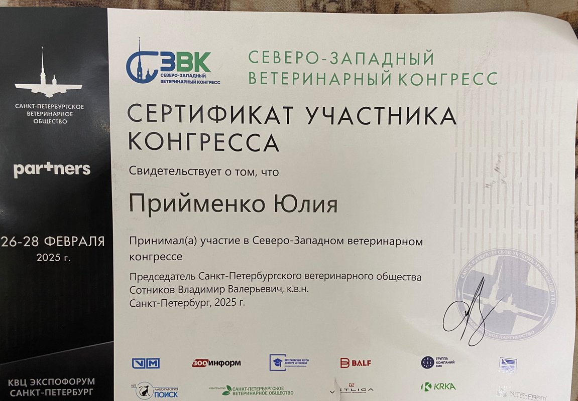 Документ или сертификат