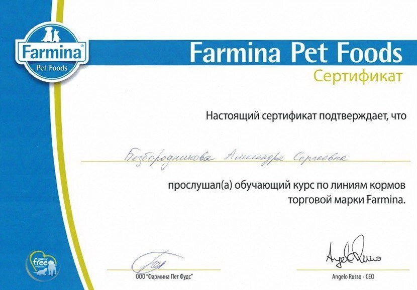Документ или сертификат