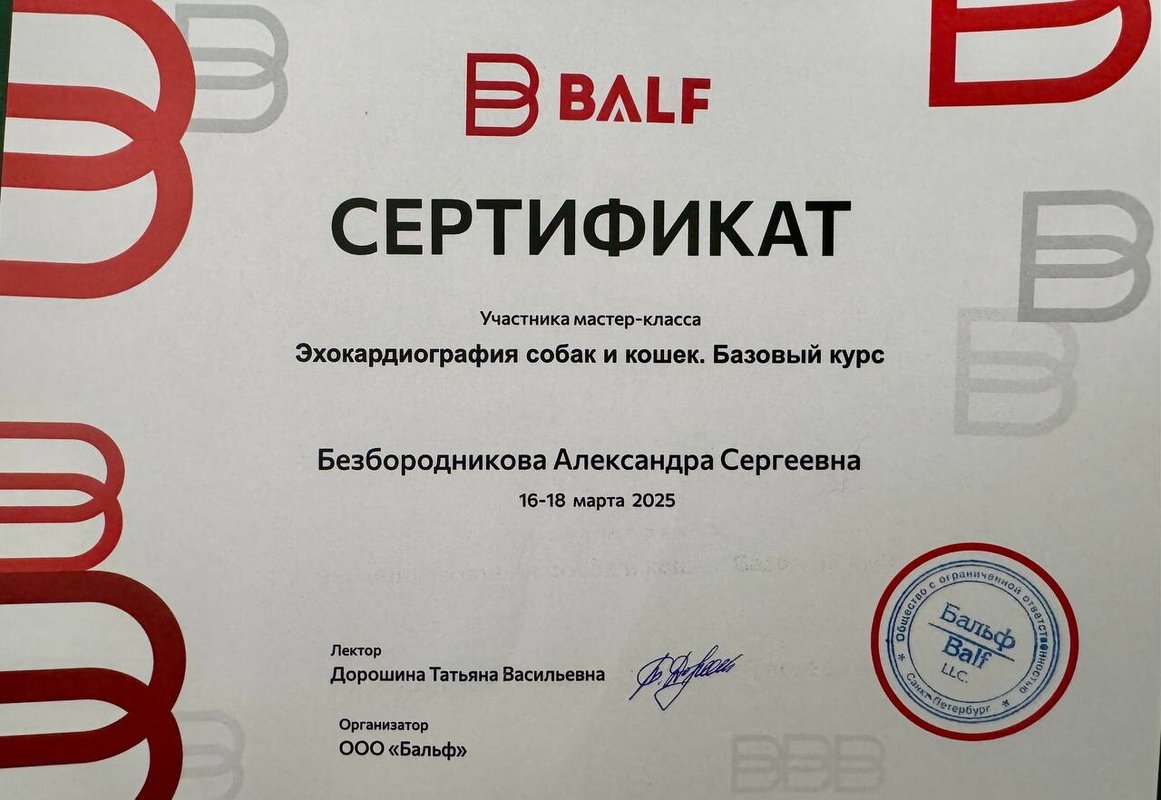 Документ или сертификат