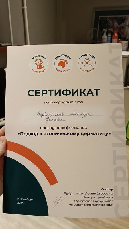 Документ или сертификат