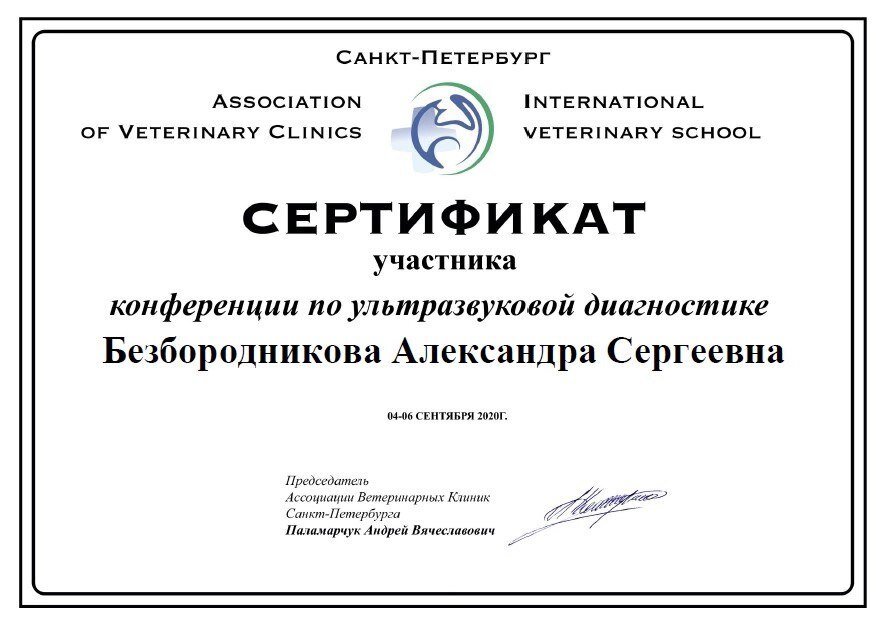 Документ или сертификат