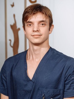 Фото врача Болдырев Максим Александрович
