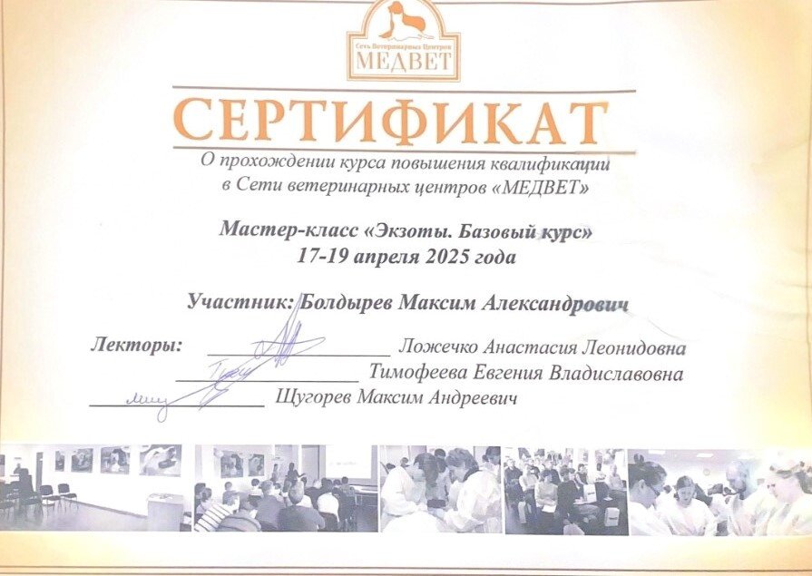 Документ или сертификат