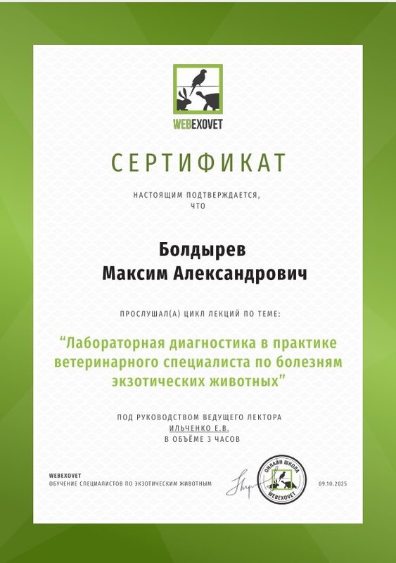 Документ или сертификат