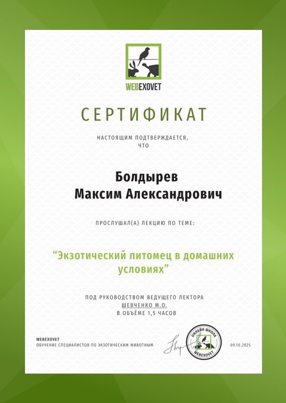 Документ или сертификат