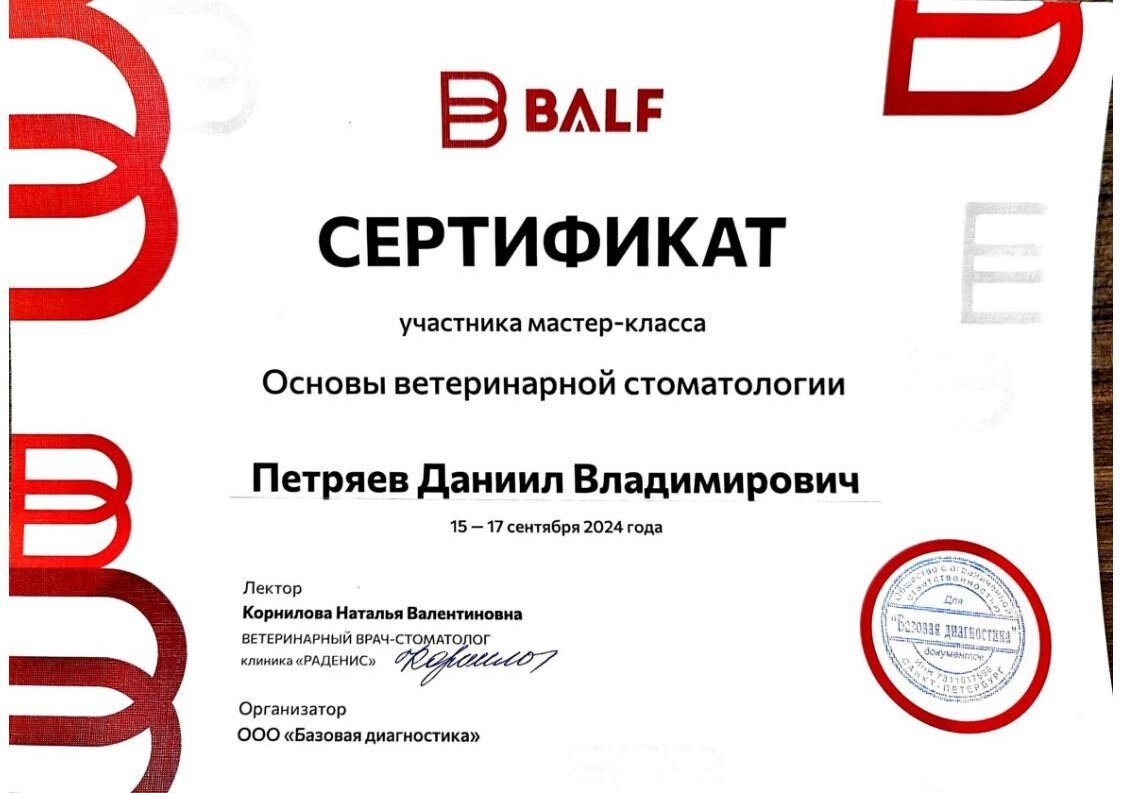 Документ или сертификат