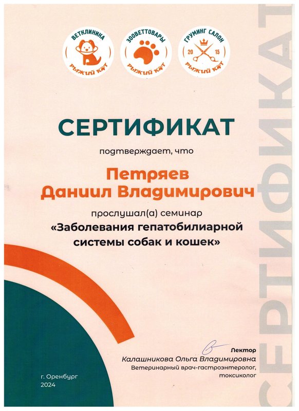Документ или сертификат
