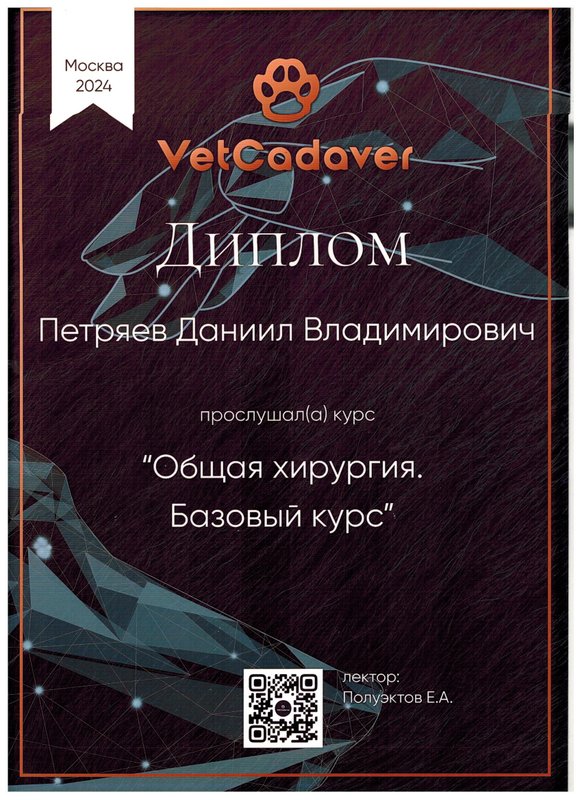 Документ или сертификат