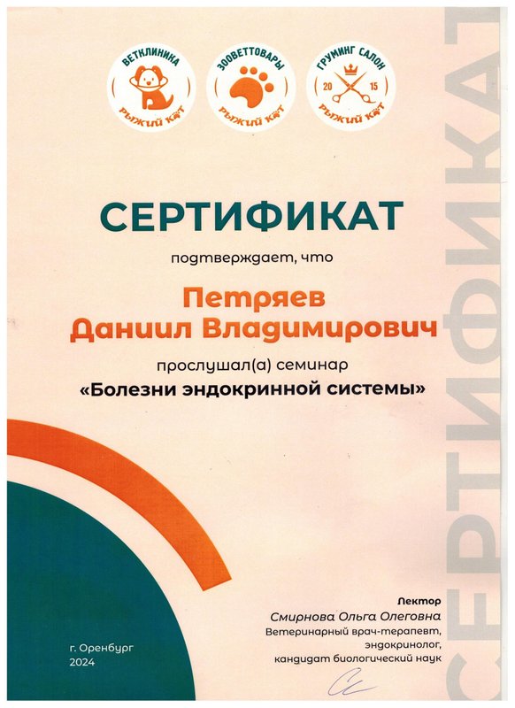 Документ или сертификат