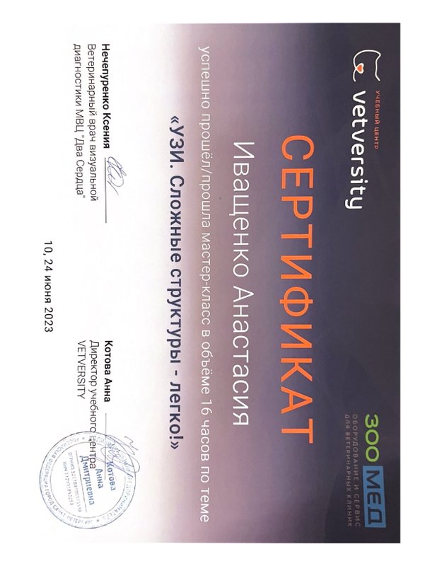 Документ или сертификат