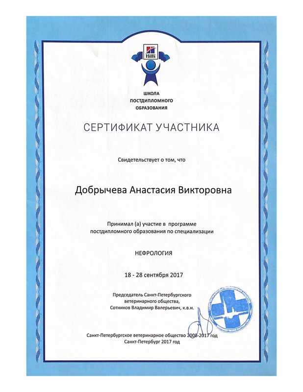 Документ или сертификат