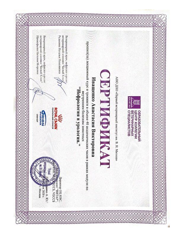 Документ или сертификат