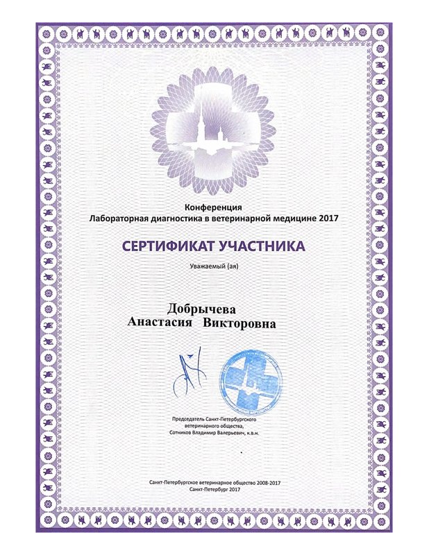 Документ или сертификат