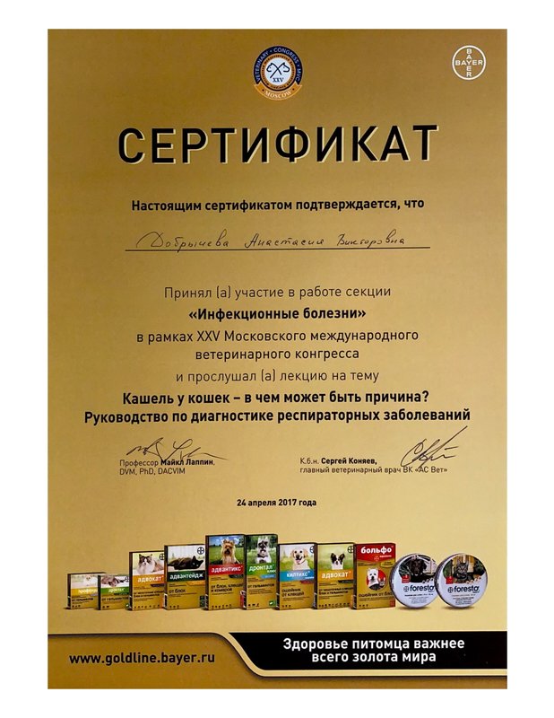 Документ или сертификат