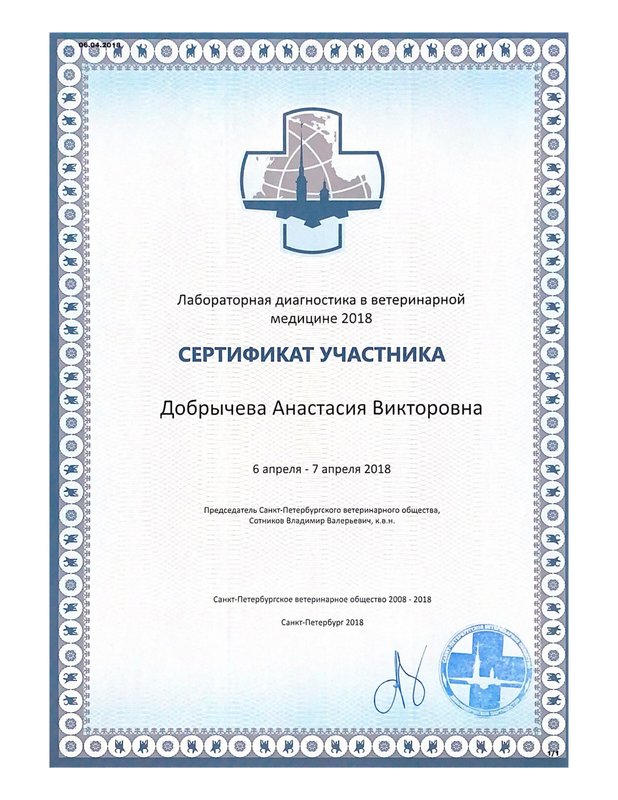 Документ или сертификат