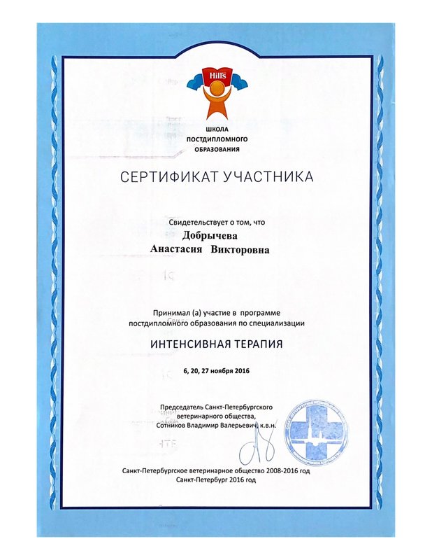Документ или сертификат