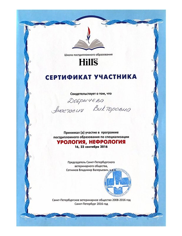 Документ или сертификат