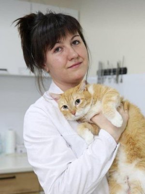 Фото врача Селезнева Светлана Евгеньевна