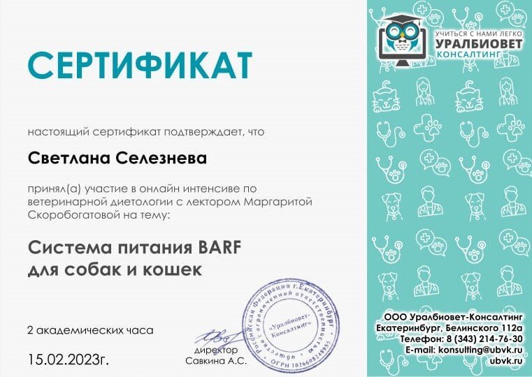 Документ или сертификат