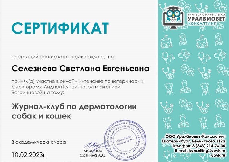 Документ или сертификат