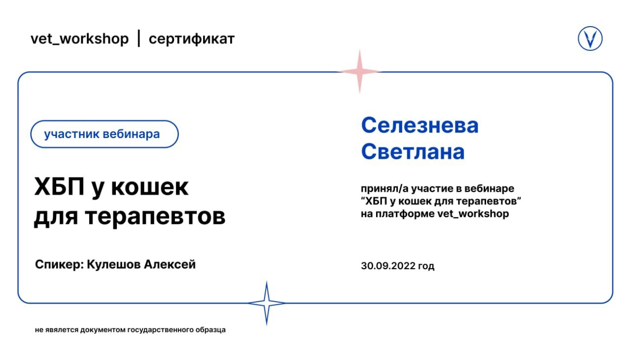 Документ или сертификат