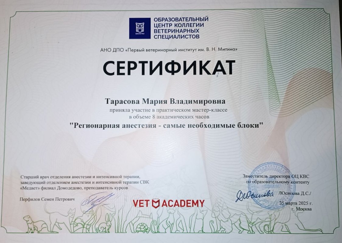 Документ или сертификат