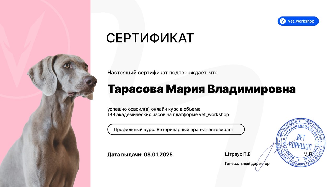Документ или сертификат