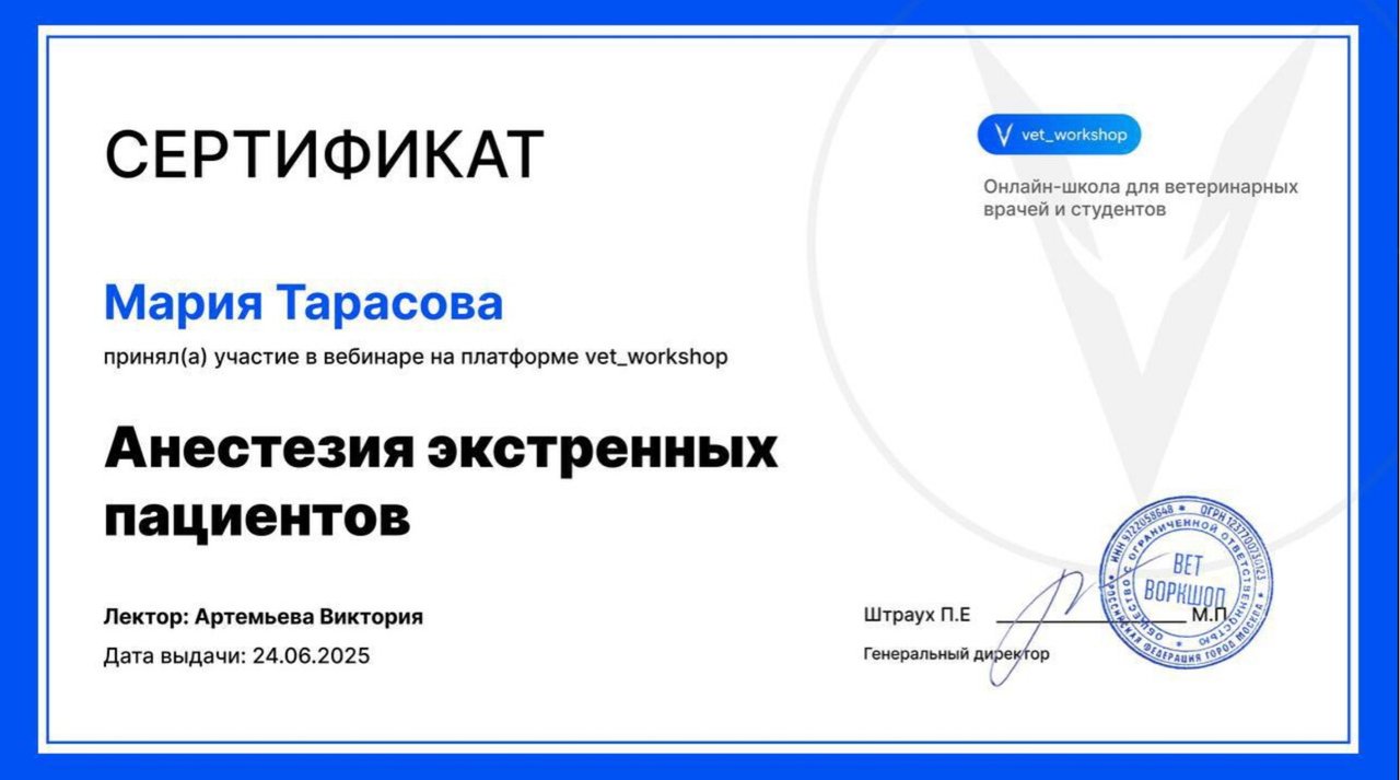 Документ или сертификат