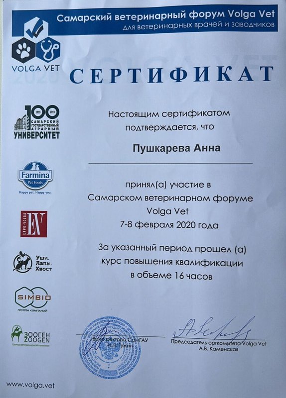 Документ или сертификат