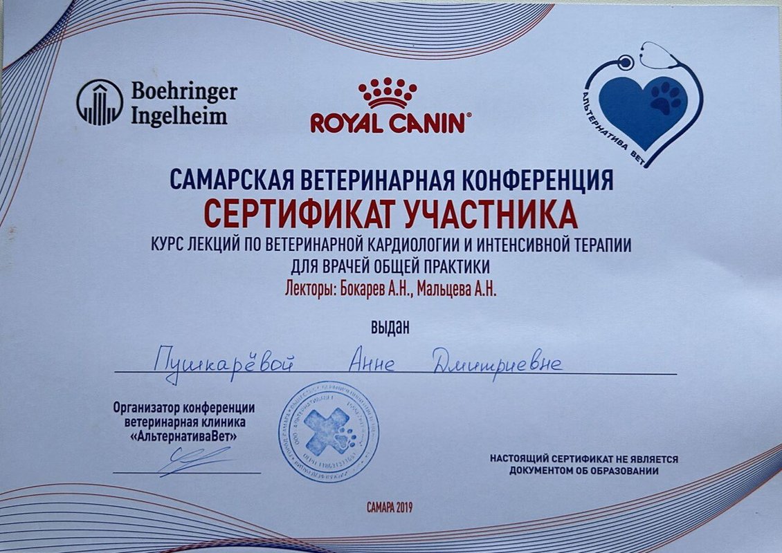 Документ или сертификат