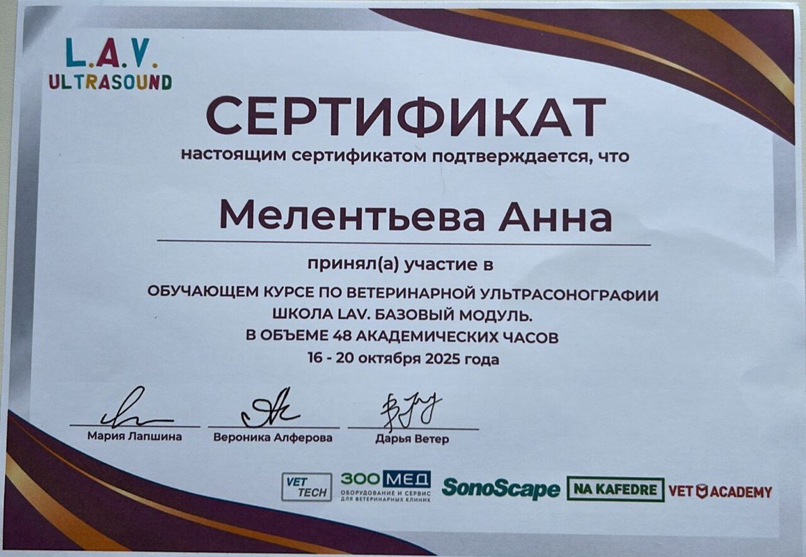 Документ или сертификат