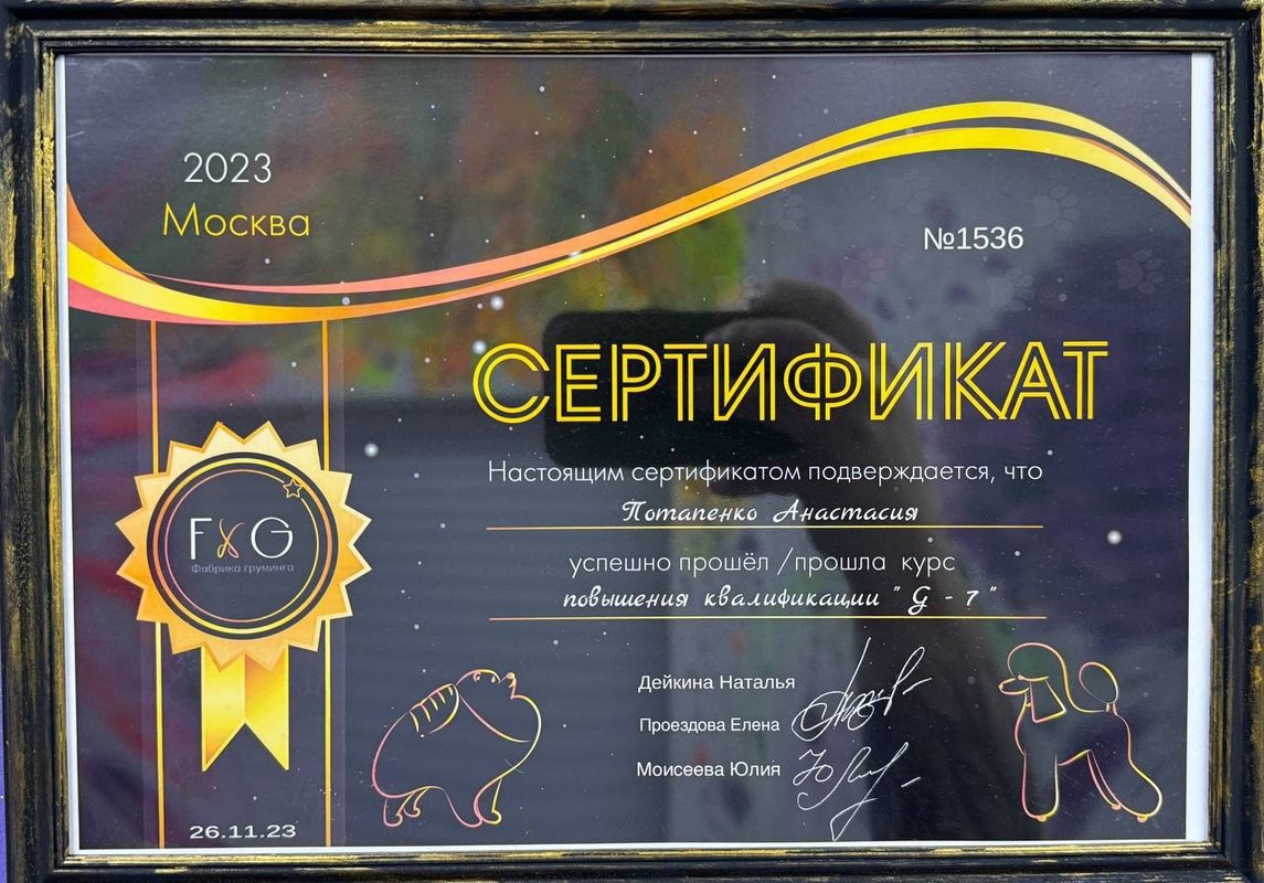 Документ или сертификат