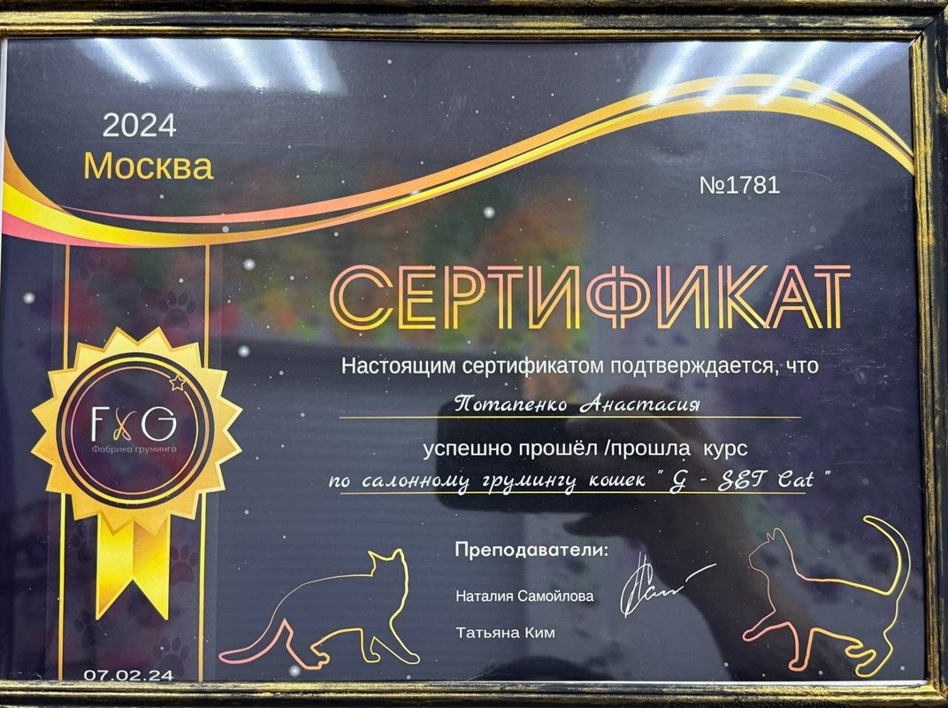 Документ или сертификат