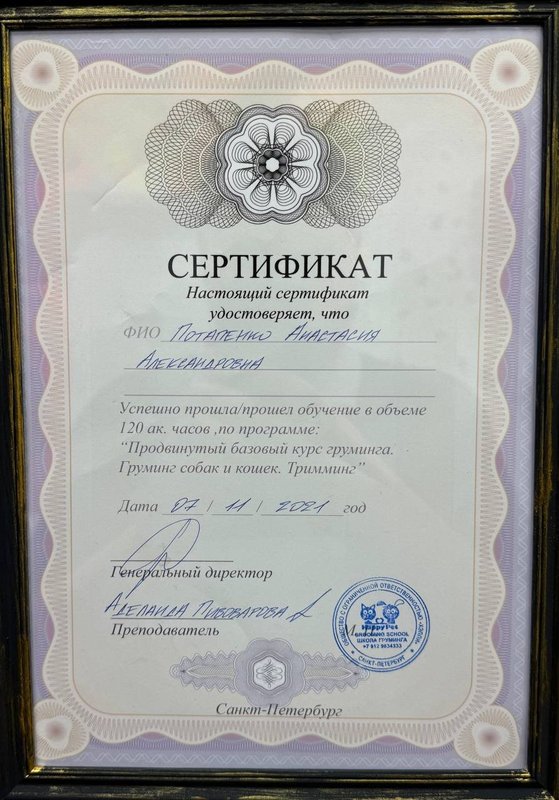 Документ или сертификат