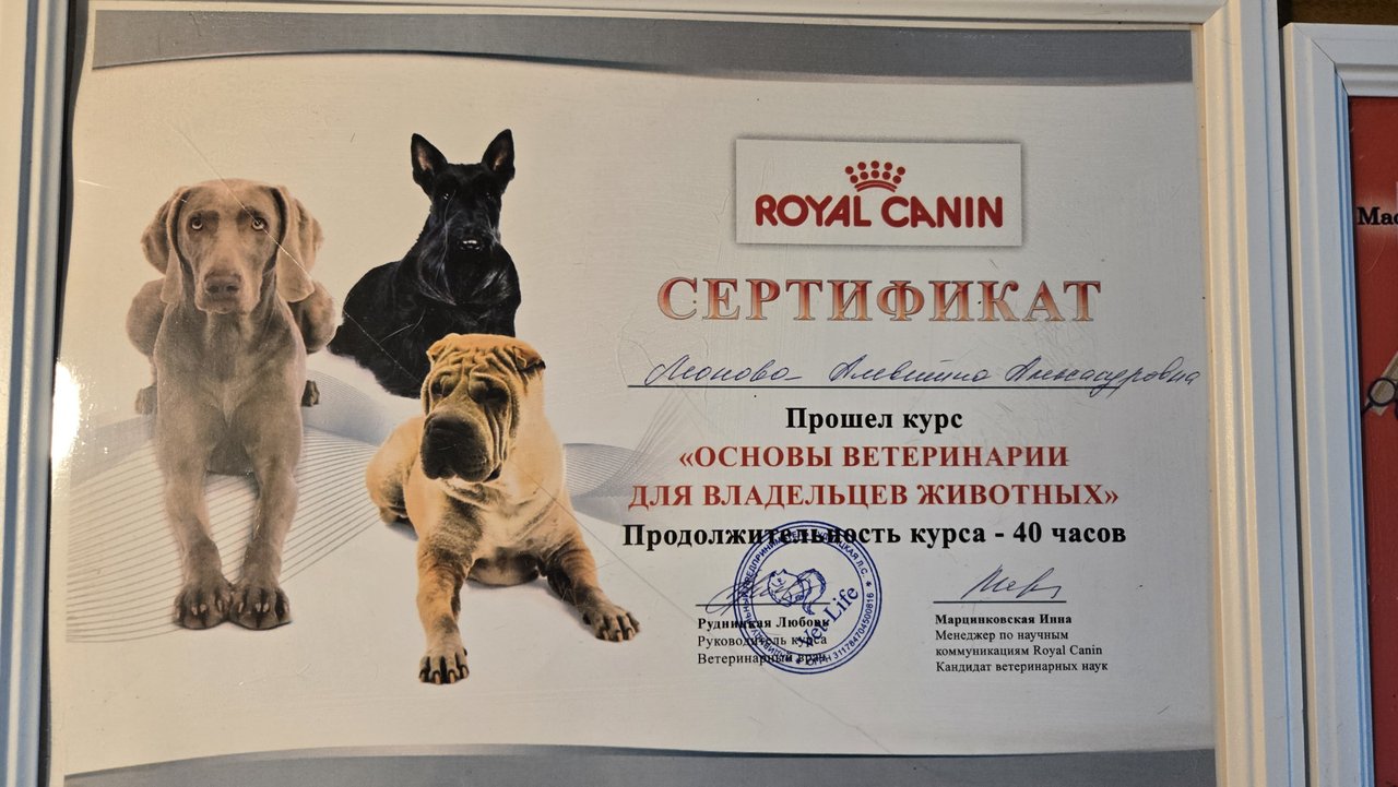 Документ или сертификат