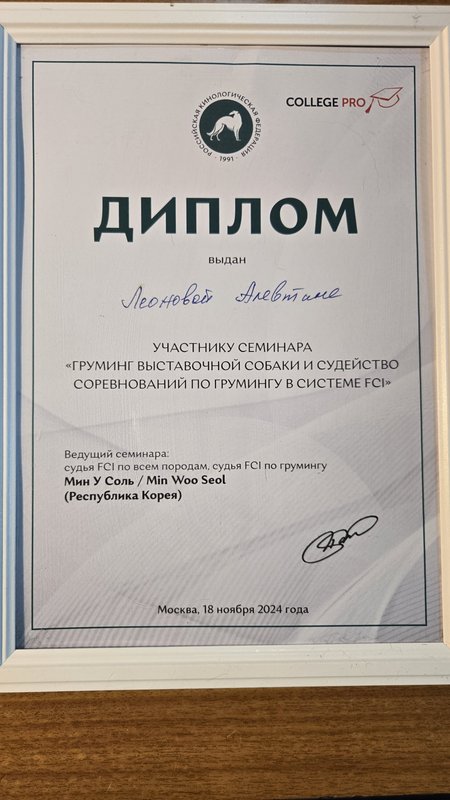 Документ или сертификат
