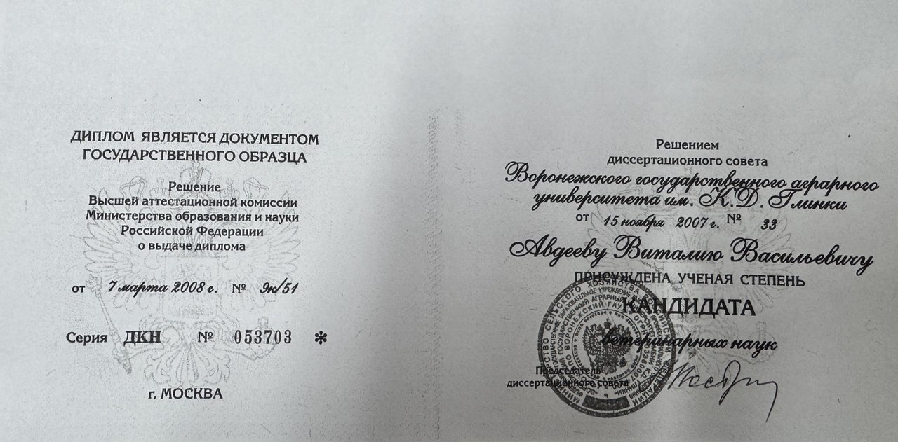 Документ или сертификат
