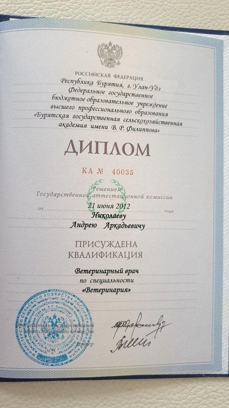 Документ или сертификат