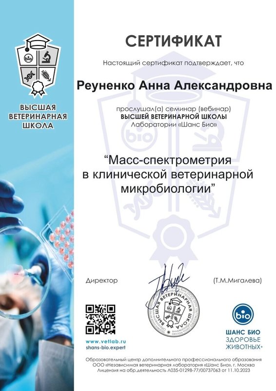 Документ или сертификат