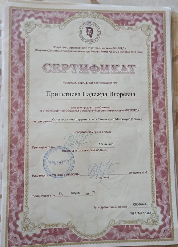 Документ или сертификат