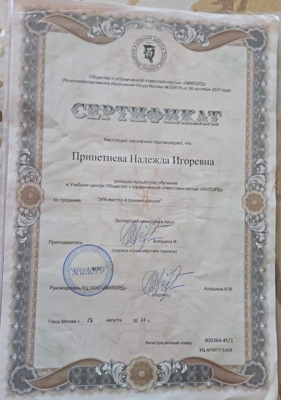 Документ или сертификат